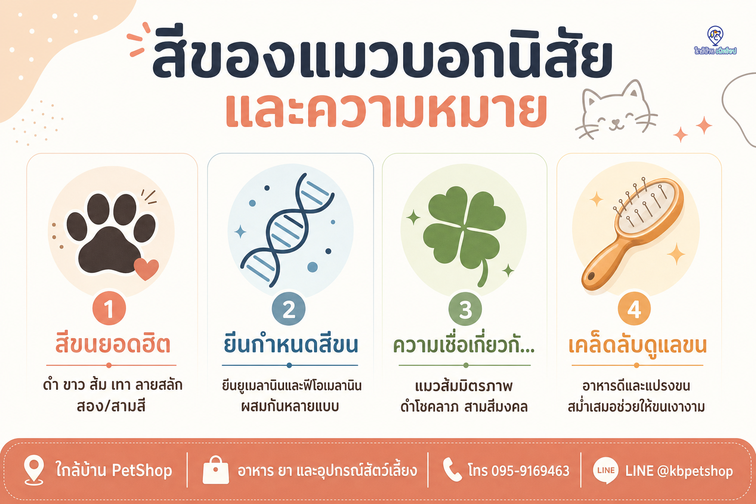 อินโฟกราฟิก: สีของแมว บอกอะไรได้บ้าง? 🎨🐱