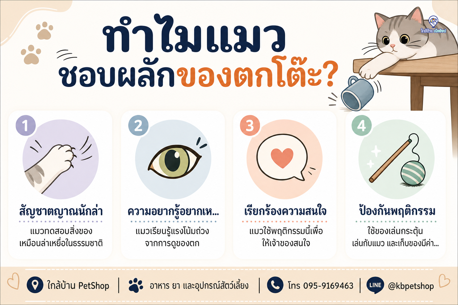 อินโฟกราฟิก: ทำไมแมวชอบผลักของตกโต๊ะ? เจตนาร้ายหรือแค่สัญชาตญาณ?