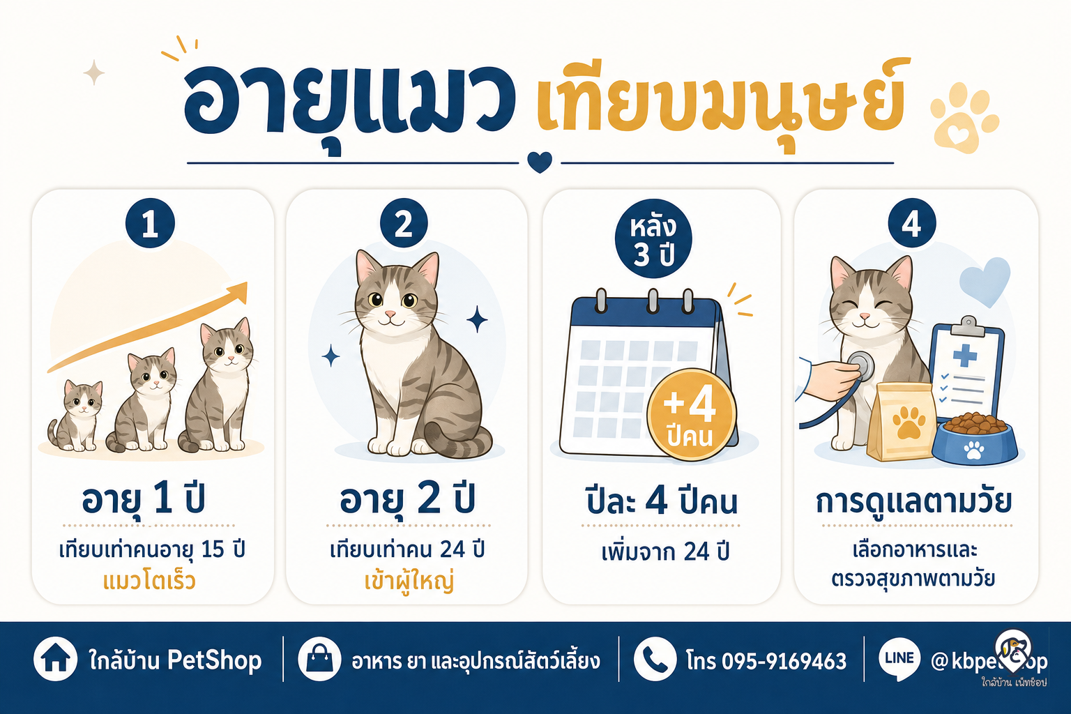 อินโฟกราฟิก: ไขข้อข้องใจ! อายุแมวเทียบกับอายุคน น้องเหมียวแก่แค่ไหนแล้ว?