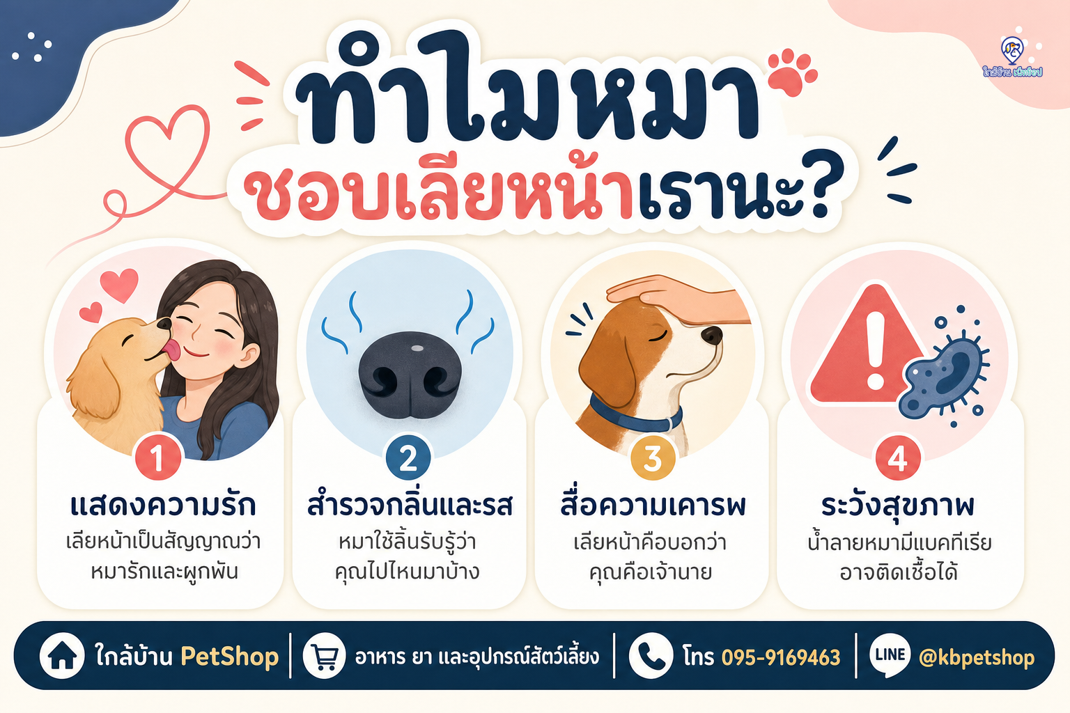 อินโฟกราฟิก: ไขความลับ! ทำไมมะหมาชอบเลียหน้าเรา? 🐶